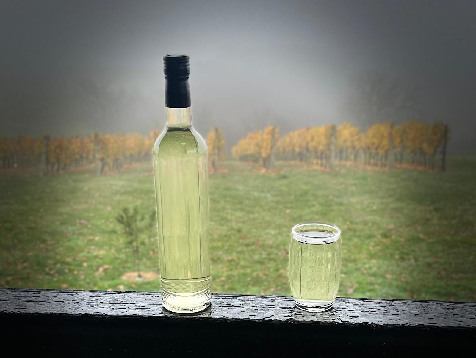 whatsapp slika 2025 11 11 u 18.46.22 e2e25d94